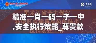 精准一肖一码一子一中,安全执行策略_尊贵款5.511