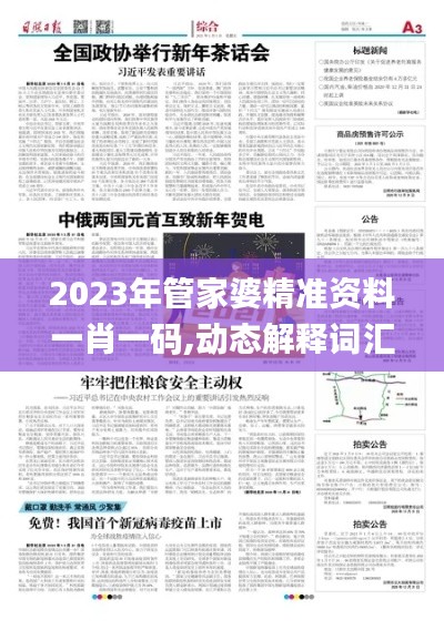 2023年管家婆精准资料一肖一码,动态解释词汇_OP5.851