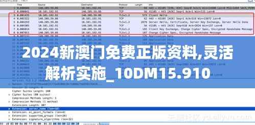 2024新澳门免费正版资料,灵活解析实施_10DM15.910