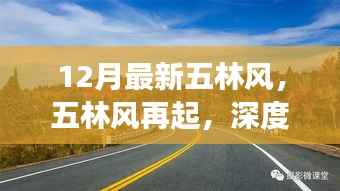 深度解读,十二月最新五林风再起与时代影响