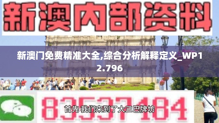新澳门免费精准大全,综合分析解释定义_WP12.796