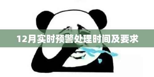 实时预警处理时间与要求解析