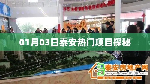 泰安热门项目探秘,探访最新动态