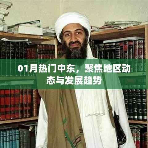 中东动态聚焦,地区发展及热门趋势