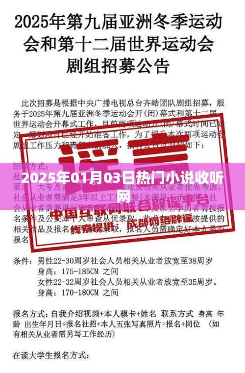 2025年热门小说收听网,最新小说一网打尽