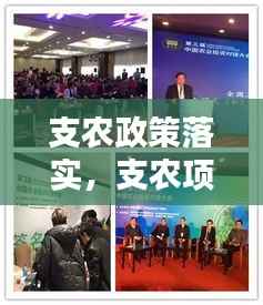 支农政策落实,支农项目