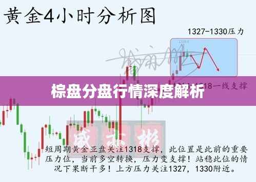 棕盘分盘行情深度解析