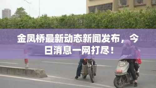 金凤桥最新动态新闻发布,今日消息一网打尽!