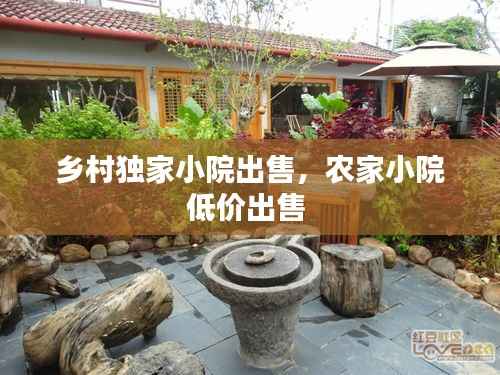 乡村独家小院出售,农家小院低价出售