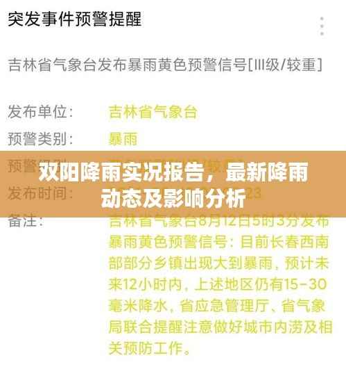 双阳降雨实况报告,最新降雨动态及影响分析