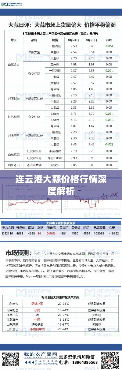 连云港大蒜价格行情深度解析